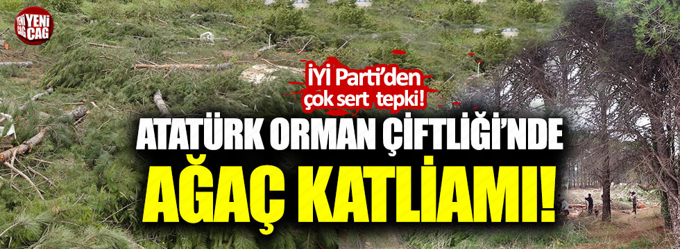 Atatürk Orman Çiftliği'nde ağaç katliamı!