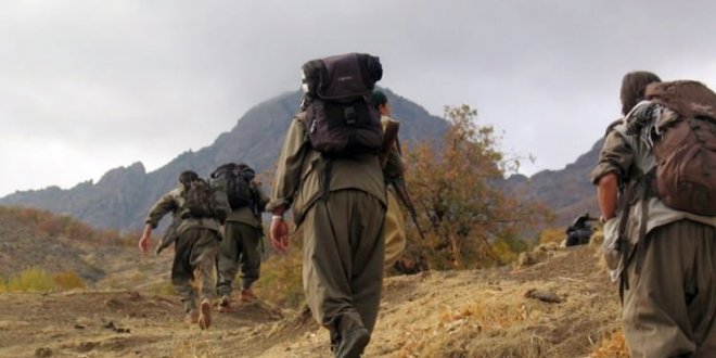 Köylüler ihbar etti 2 PKK'lı terörist yakalandı