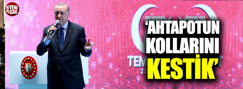 Erdoğan: "Ahtapotun kollarını kestik"