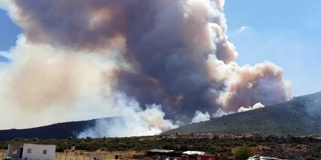 İzmir'de 45 hektarlık orman yangını