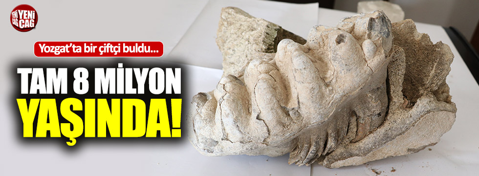 Yozgat'ta 8 milyon yıllık fosil