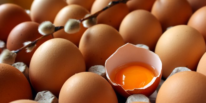 Beyaz et ve yumurtada üretim azaldı