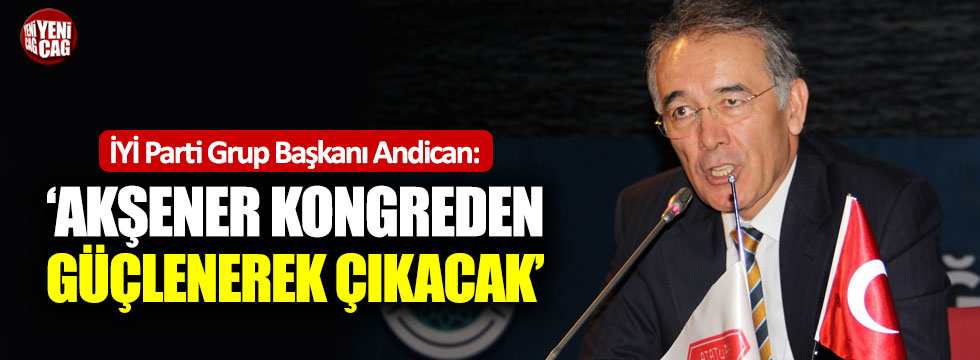 Andican: "Akşener kongreden güçlenerek çıkacak"