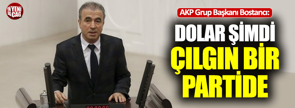 AKP'li Bostancı: "Dolar şimdi çılgın bir partide"