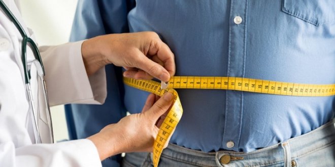 Obezite gribi nasıl etkiliyor?