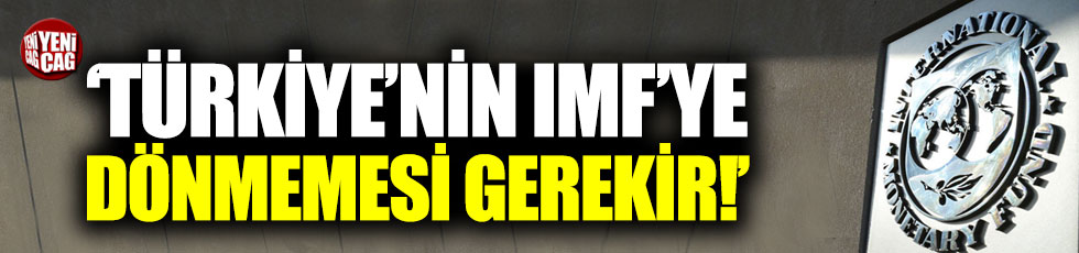 "Türkiye'nin IMF'ye dönmemesi gerekir"