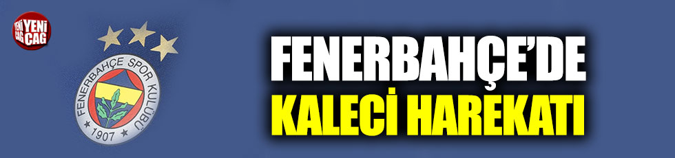 Fenerbahçe’de kaleye 2 alternatif