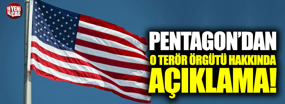 Pentagon'dan o terör örgütü hakkında açıklama!