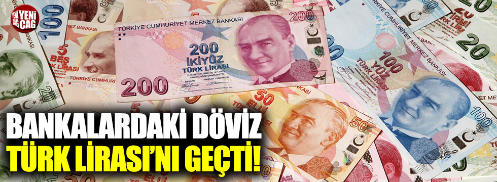 Bankalardaki döviz, Türk Lirası'nı geçti!
