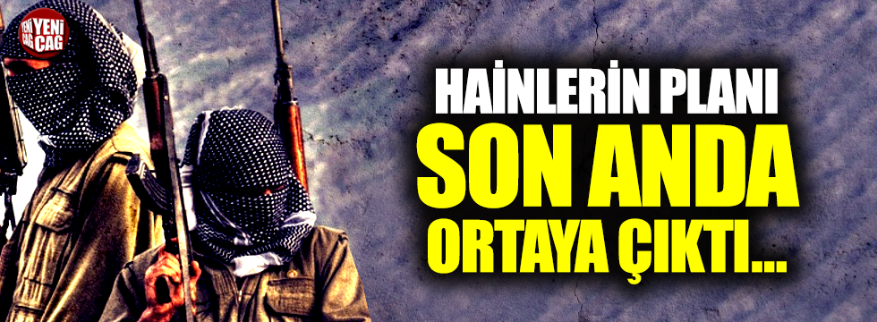 Şırnak'ta PKK'ya operasyon: 23 gözaltı