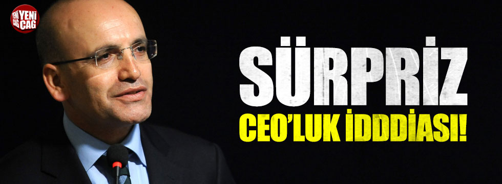 Mehmet Şimşek CEO'luk teklifi