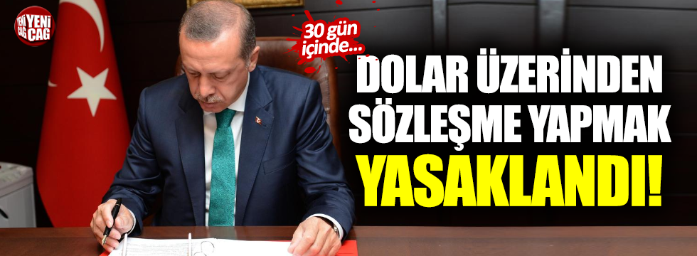 Erdoğan'dan döviz hamlesi