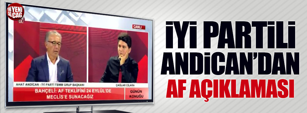 İYİ Parti Grup Başkanı Andican'dan af açıklaması