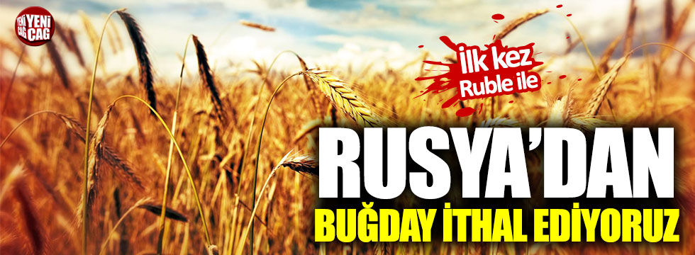 Türkiye, Rusya’dan Ruble ile buğday ithal edecek