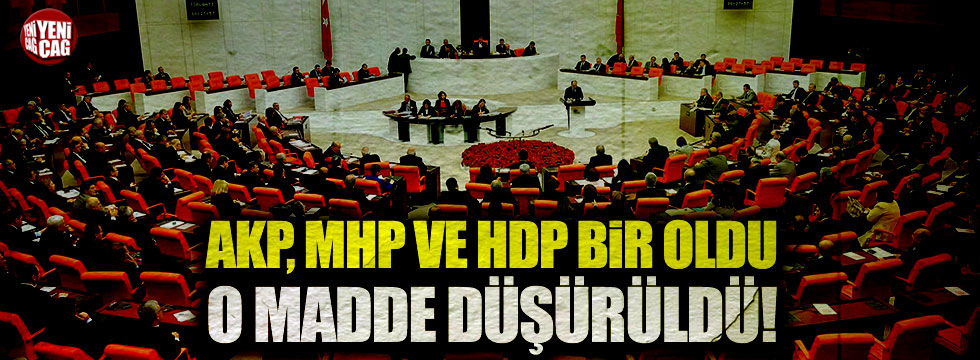 AKP, MHP ve HDP bir oldu, o madde düşürüldü