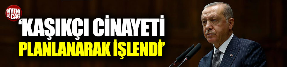 Erdoğan: Kaşıkçı cinayeti planlanarak işlendi