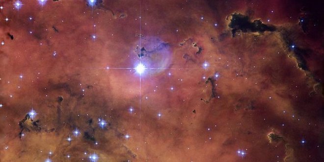 Uzayda kuru kafa biçimli yıldız nebulası