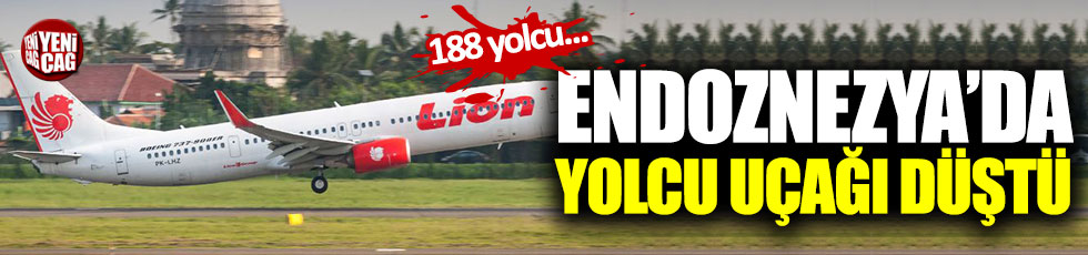 Endonezya'da yolcu uçağı düştü!