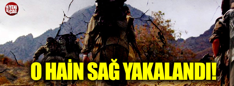 PKK'nın sözde Gabar sorumlusu yakalandı!