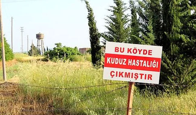 Bakanlıktan "Balıkesir'de kuduz karantinası" açıklaması