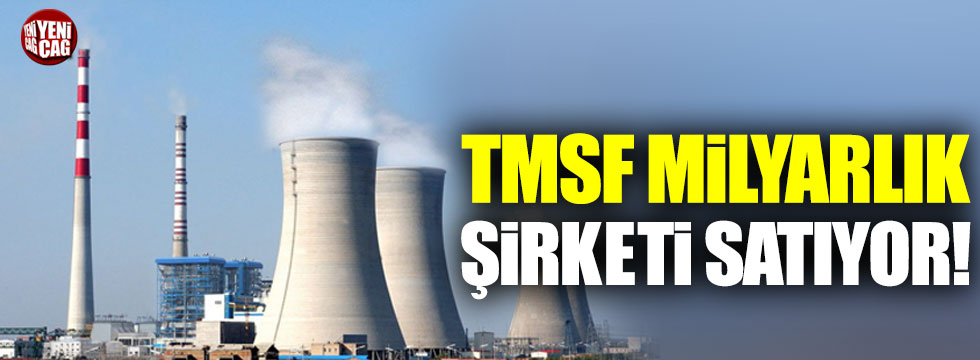 TMSF milyarlık şirketi satışa çıkarıyor