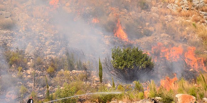 Antalya'da dağlık alanda yangın
