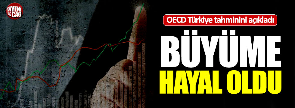 OECD Türkiye'nin büyüme tahminini düşürdü