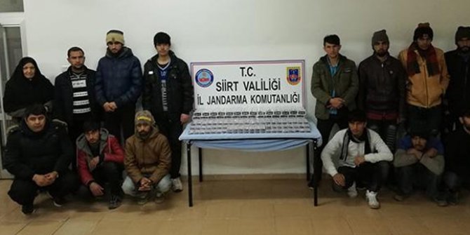 Siirt'te 14 düzensiz göçmen yakalandı