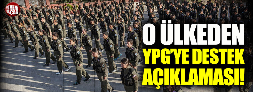 Fransa’dan terör örgütü YPG’ye destek açıklaması