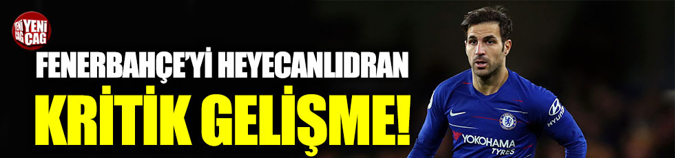 Fabregas’tan Fenerbahçe taraftarını heyecanlandıran haber