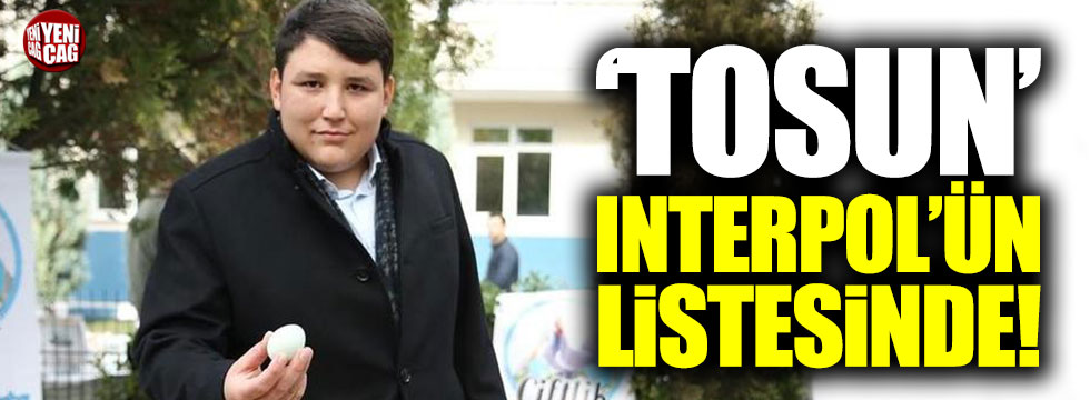 Tosun Interpol'ün en çok arananlar listesinde!