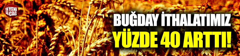 Rusya: "Türkiye'ye buğday sevkiyatı yüzde 40 arttı"