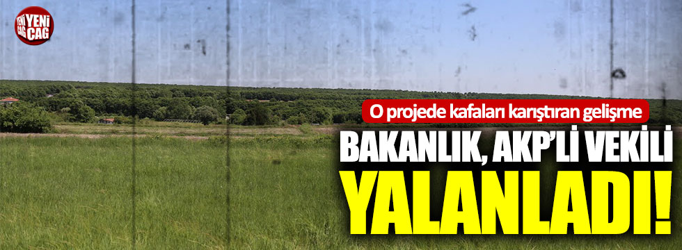 Termik santral projesinde kafa karıştıran gelişme: Bakanlık, AKP'li vekili yalanladı
