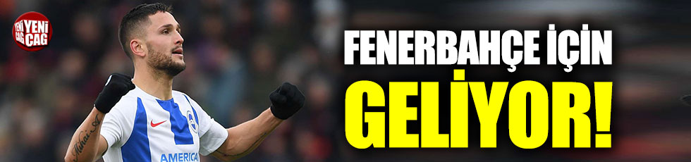 Fenerbahçe için Florin Andone iddiası!