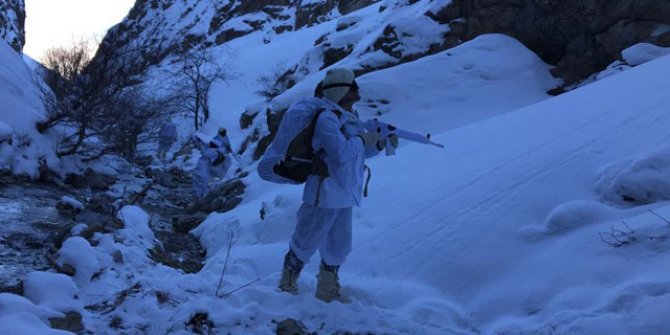 Van'da PKK'nın kış üslenmesine darbe