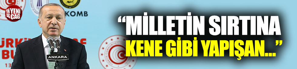 Erdoğan: "Ekonomik tetikçilere Osmanlı tokadını hep birlikte vuracağız"