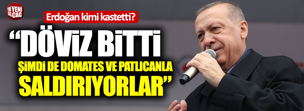 Cumhurbaşkanı Erdoğan: "Domates, patates, patlıcanla saldırıyorlar"