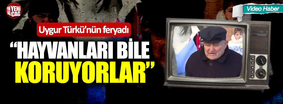 Uygur Türkü’nün feryadı: “Hayvanları bile koruyorlar”