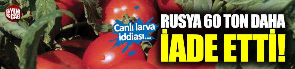 Canlı larvalı domatesler Türkiye’ye iade edildi