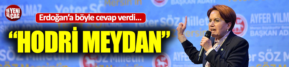 Meral Akşener’den Erdoğan’a cevap: “Hodri meydan”