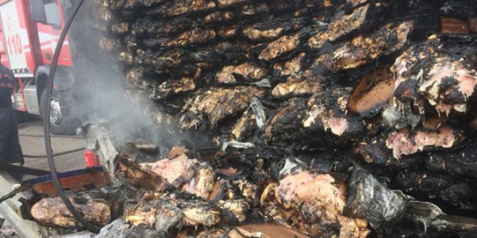 Tavuk eti yüklü TIR'da yangın çıktı