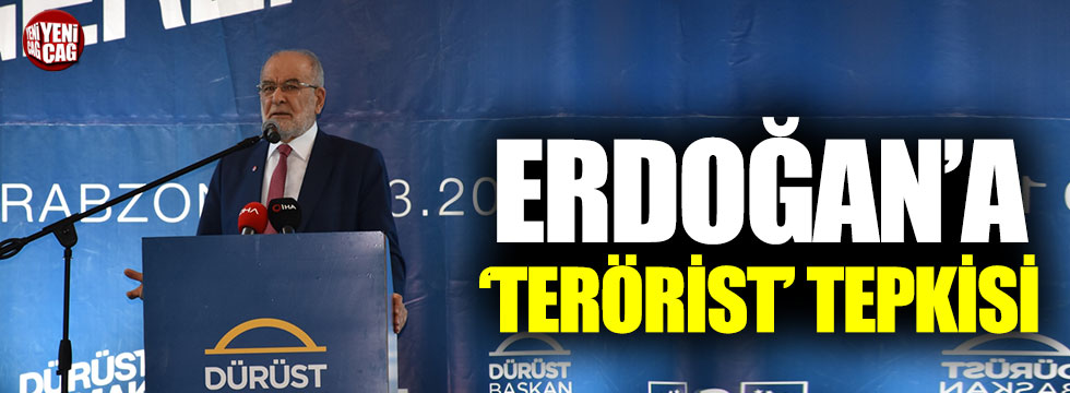 Temel Karamollaoğlu’ndan Erdoğan’a ‘terörist’ tepkisi