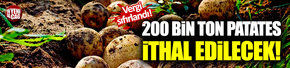 200 bin ton patates ithal edilecek!