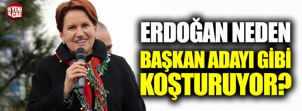 Akşener: "Erdoğan neden belediye başkan adayı gibi koşturuyor"
