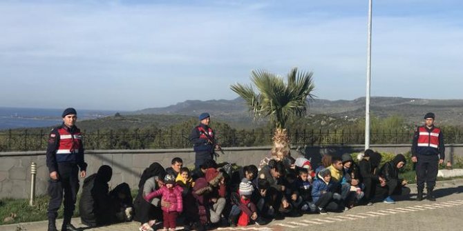 Ayvacık'ta 46 kaçak göçmen yakalandı