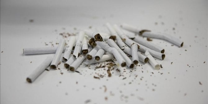 "İnternette 'beğeni sevdası' sigarayla mücadeleye zarar veriyor"