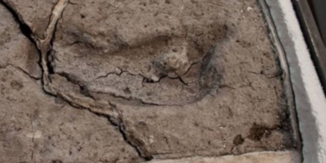 Amerika kıtasındaki en eski ayak izinin Şili'de olduğu kanıtlandı