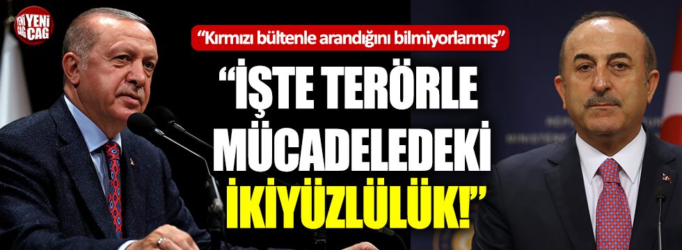 Çavuşoğlu'nun sözleri Erdoğan'ı akıllara getirdi