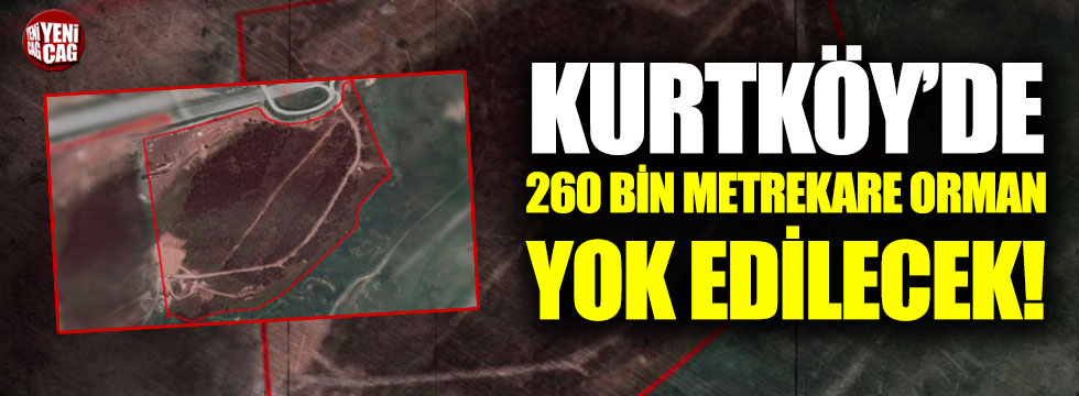 Kurtköy'de 260 bin metrekare orman yok edilecek