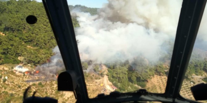 İzmir'de, ormanlık ve makilik alanda yangın